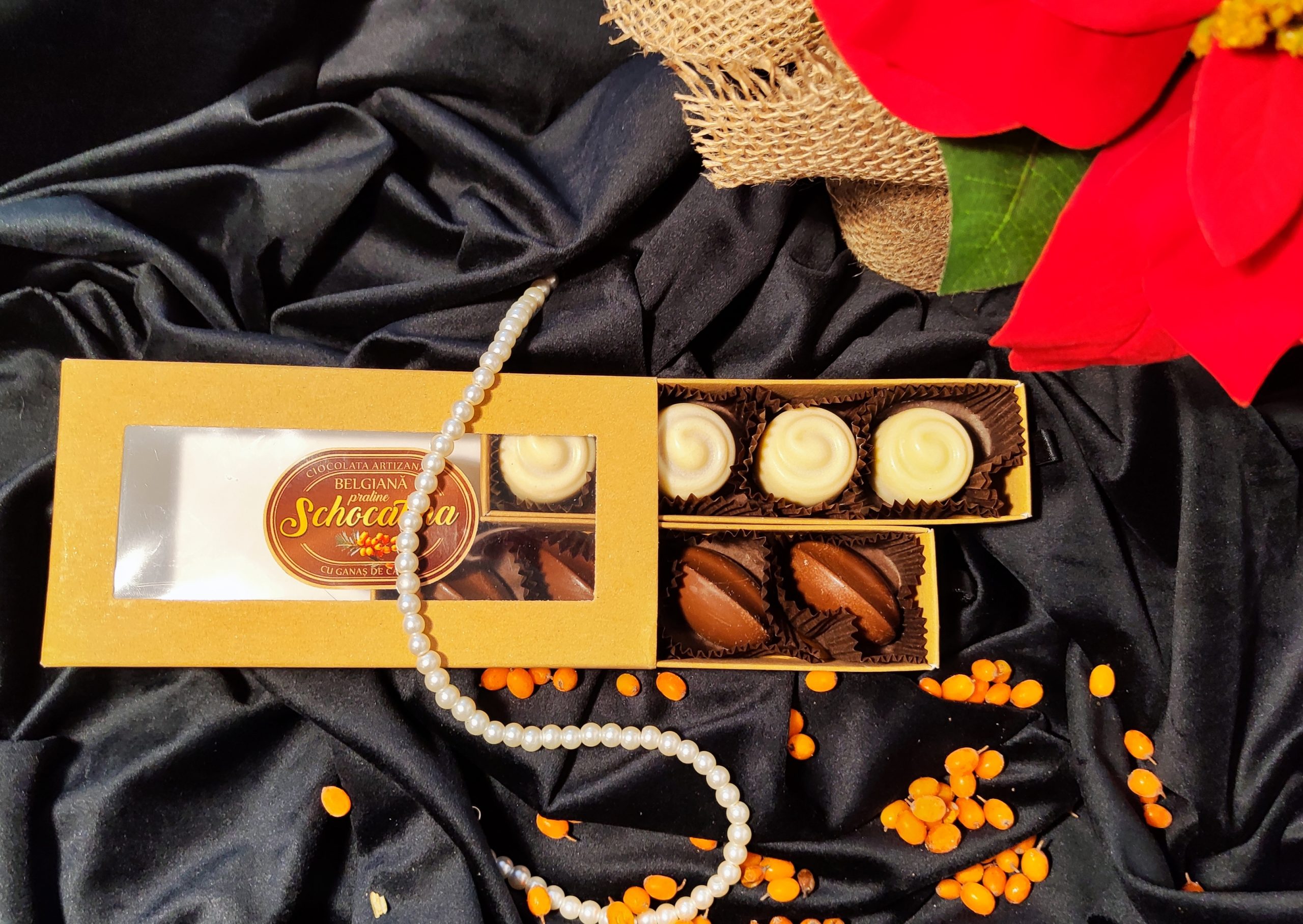 SCHOCATINA-Praline de ciocolata belgiana cu ganas de catina 100 G